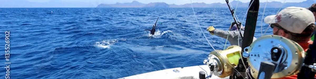 Read more about the article Understanding Saltwater Fishing